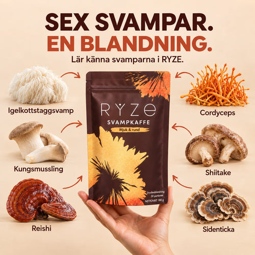 Ryze - Svampkaffe med 6 Funktionella Svampar i Varje Kopp